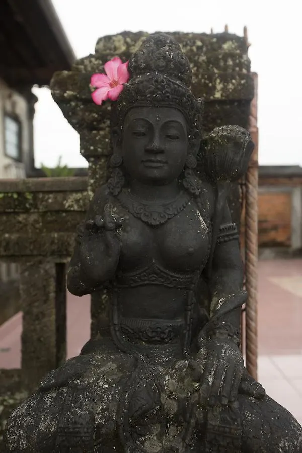 Warji House 2 Bisma Hotel Ubud  Indonesia