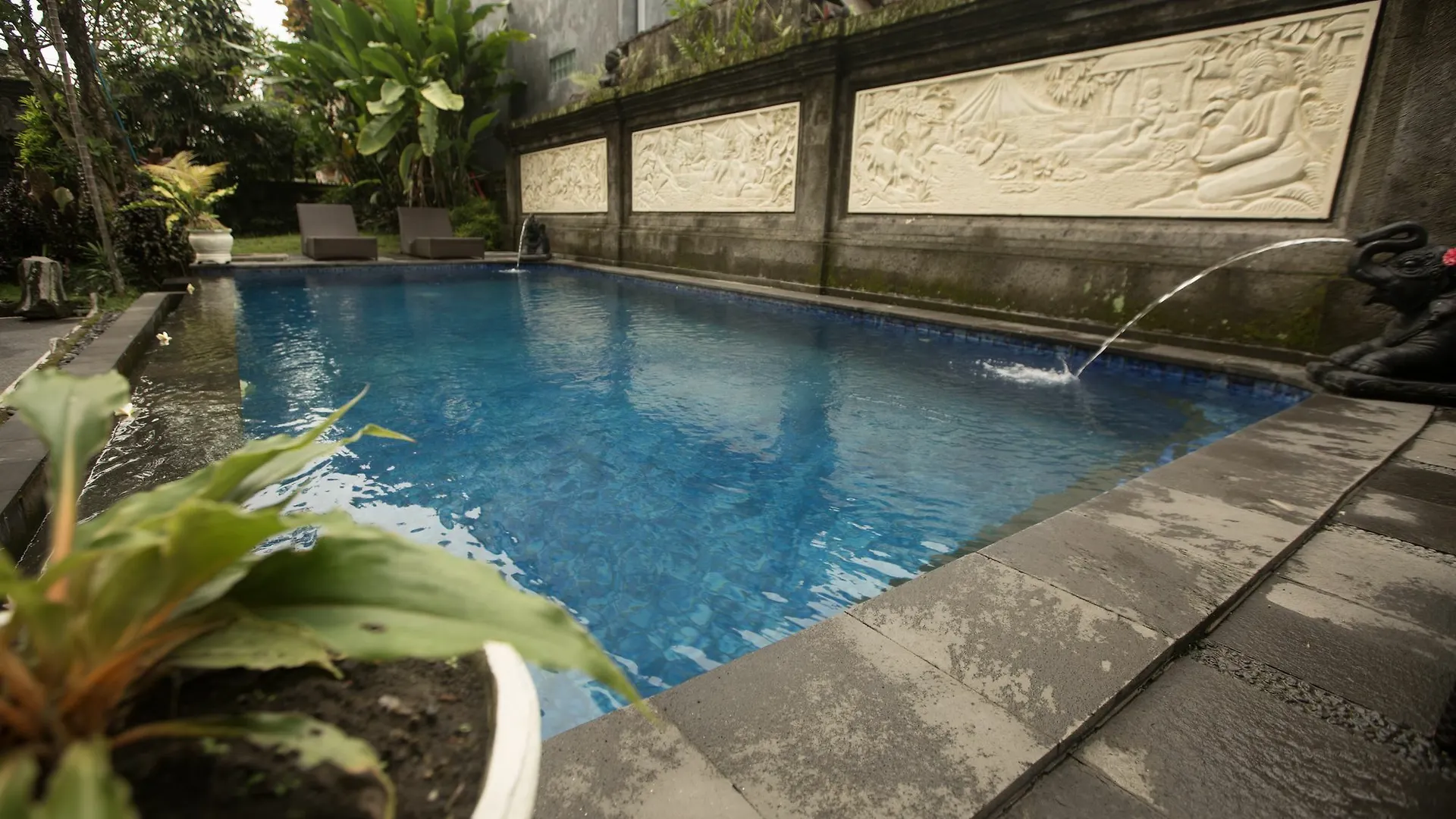 Warji House 2 Bisma Hotel Ubud  Indonesia
